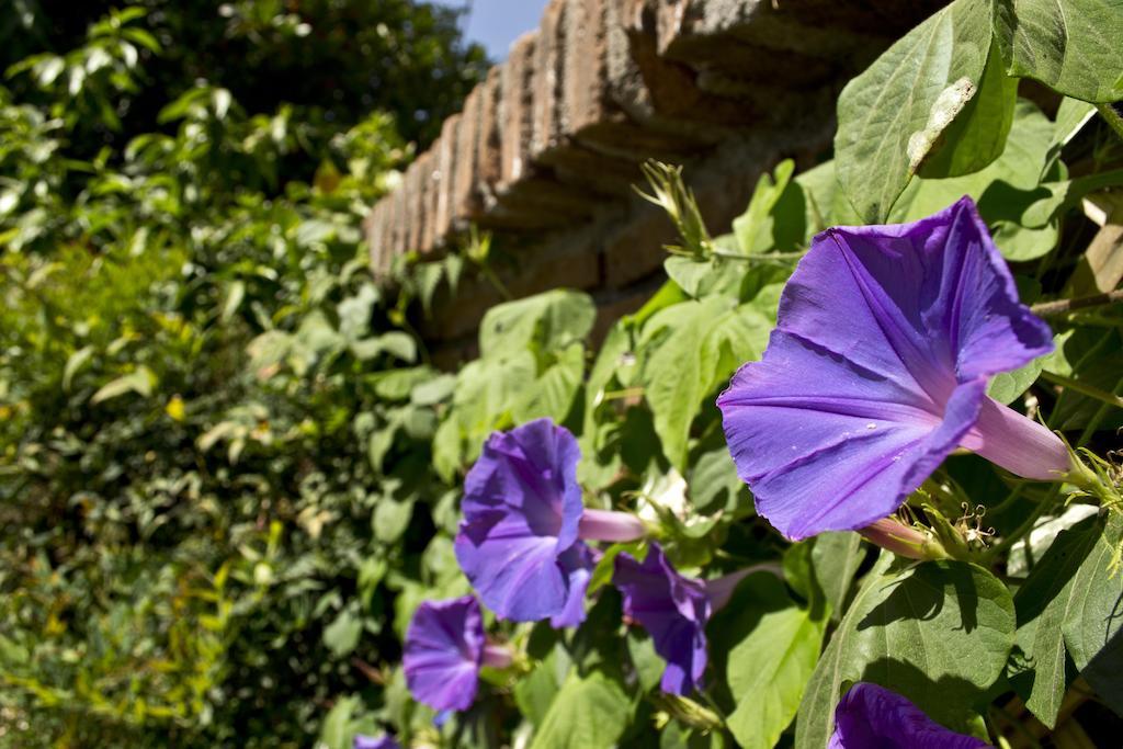 Catorceonce Bed & Breakfast Talca (Maule) Exterior foto